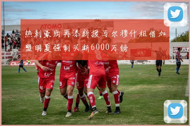 热刺豪购再添新援马尔穆什租借加盟明夏强制买断6000万镑