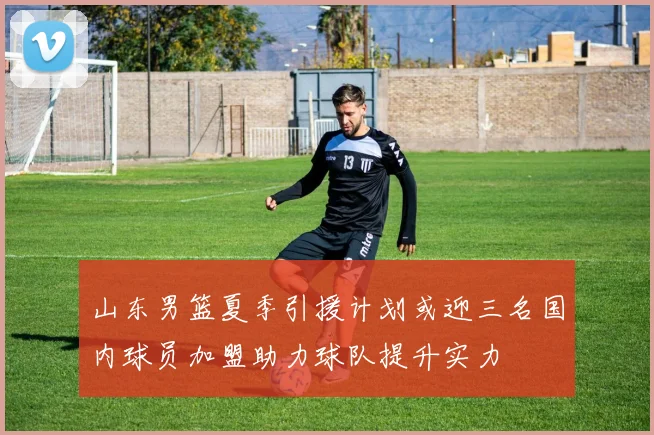 山东男篮夏季引援计划或迎三名国内球员加盟助力球队提升实力